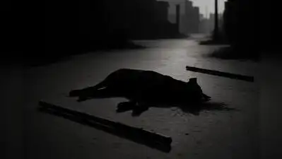 Pune: Uttamnagar police are searching for four to five unidentified men who brutally beat