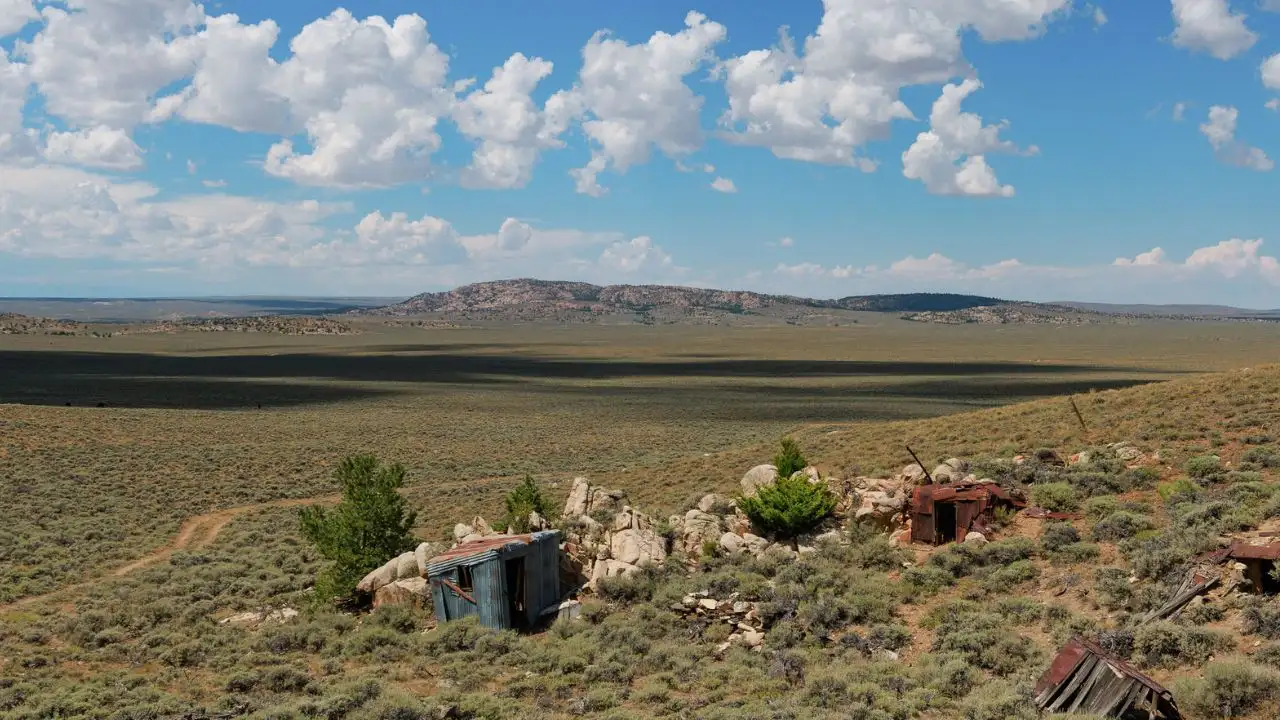 Several cave-roosting bat species use abandoned mines, particularly in the western United States