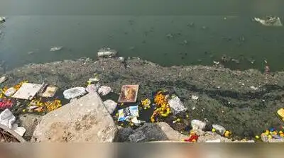 Polluted Mula water near Hinjewadi IT Park: The wider industry impact