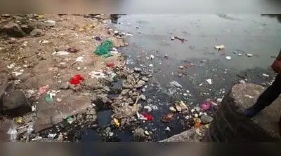 Polluted Mula water near Hinjewadi IT Park: The wider industry impact