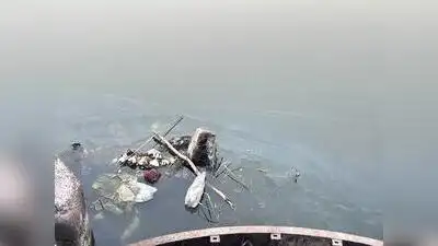 Polluted Mula water near Hinjewadi IT Park: The wider industry impact