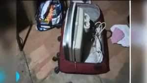 Video leads Karnataka team to remote illegal sex determination den in Sangli; key accused escapes