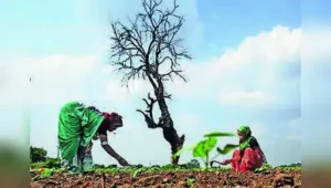 Pune: State govt has issued directions to all the district collectors to take action