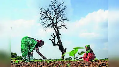 Pune: State govt has issued directions to all the district collectors to take action