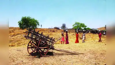 As paddy losses mount, Mulshi & Maval farmers seek drought relief: The wider industry impact