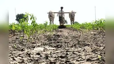 Interestingly, even Mulugu district, which received heavy rainfall: The wider industry impact