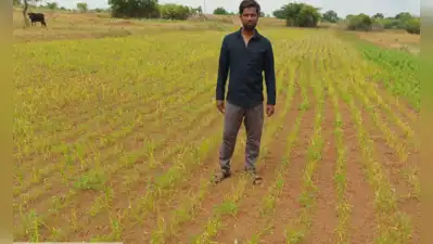 Nashik: State agriculture and revenue department officials have: The wider industry impact