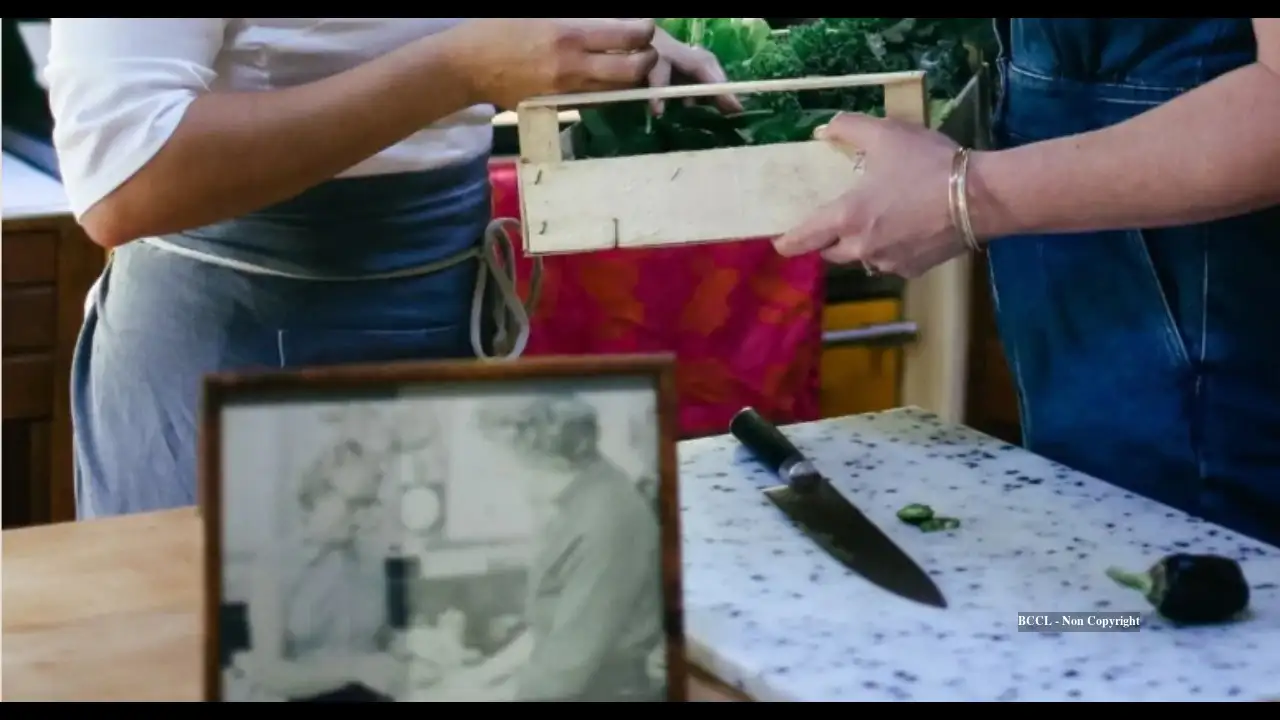 Julia Child and her husband, Paul, built La Pitchoune in Provence: The wider industry impact