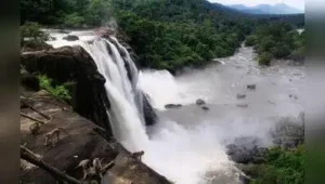 Activists of Chalakkudy river protection forum have called: The wider industry impact