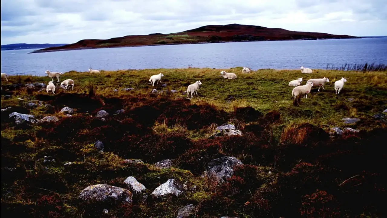In WWII, one Scottish island became a secret British bioweapon site and stayed toxic for nearly 50