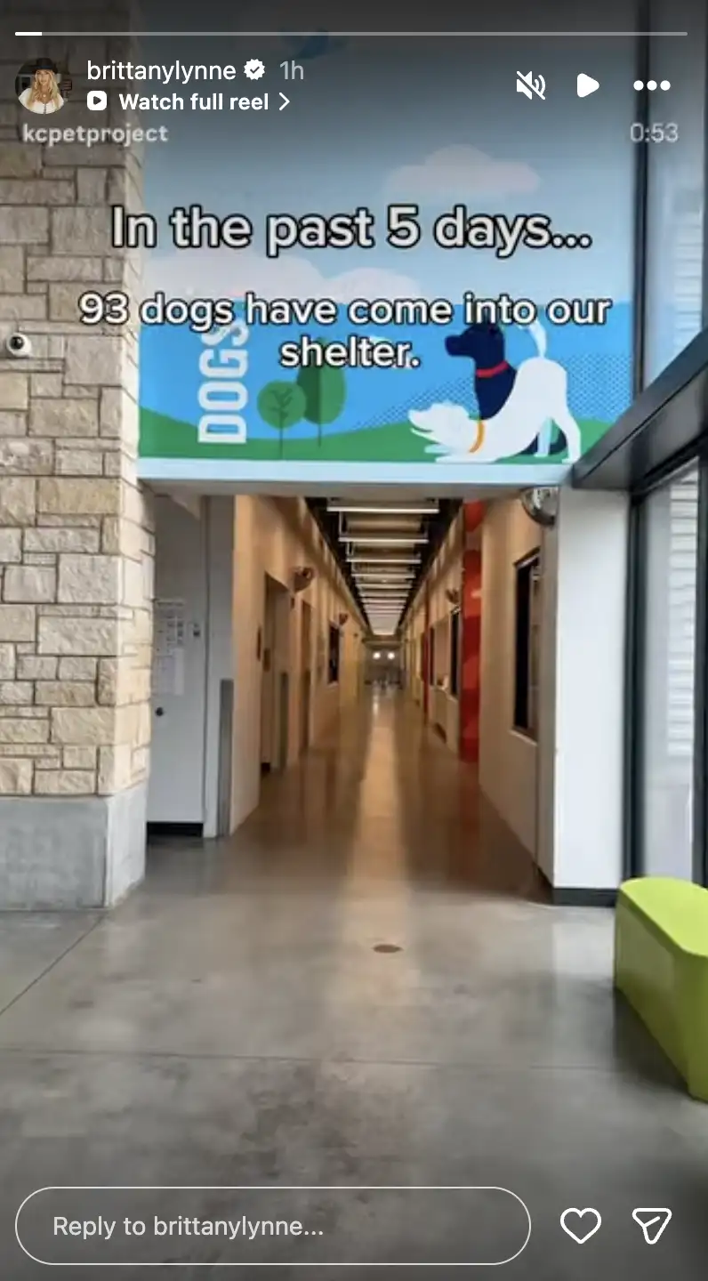 Brittany Mahomes continues her support for KC Pet Project’s dogs Brittany's decision to amplify