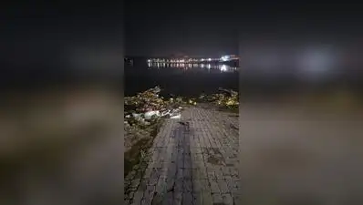 Environmentalists and residents alleged that devotees opened a barricaded gate to immerse idols