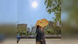 The maximum temperature in the city on Thursday was 36.3 degrees: The wider industry impact