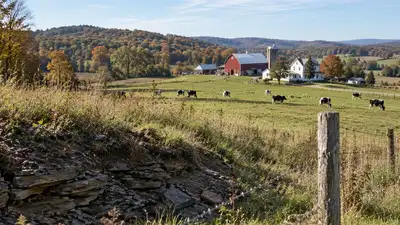 In 2011, a Pennsylvania dairy couple struggling to pay bills learned: The wider industry impact
