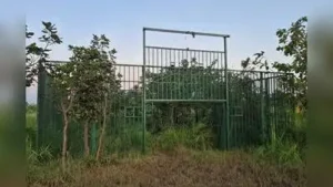 Tadoba deploys sensors to save water for wildlife