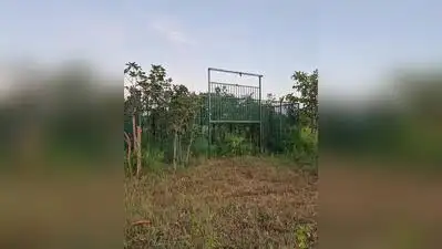 Tadoba deploys sensors to save water for wildlife
