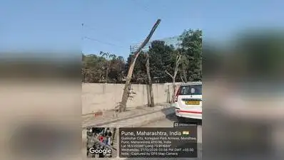 Botched transplantation by PMC along Koregaon Park Annexe road leads to death of several trees