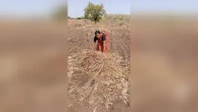 Women caught in a Marathwada drought trap have no crops, no work: The wider industry impact