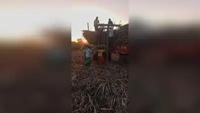 Women caught in a Marathwada drought trap have no crops, no work: The wider industry impact