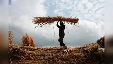Nagpur: With the drought situation likely to worsen in the coming: The wider industry impact