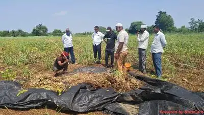 Soybean is Maharashtra’s principal kharif crop, widely grown: The wider industry impact