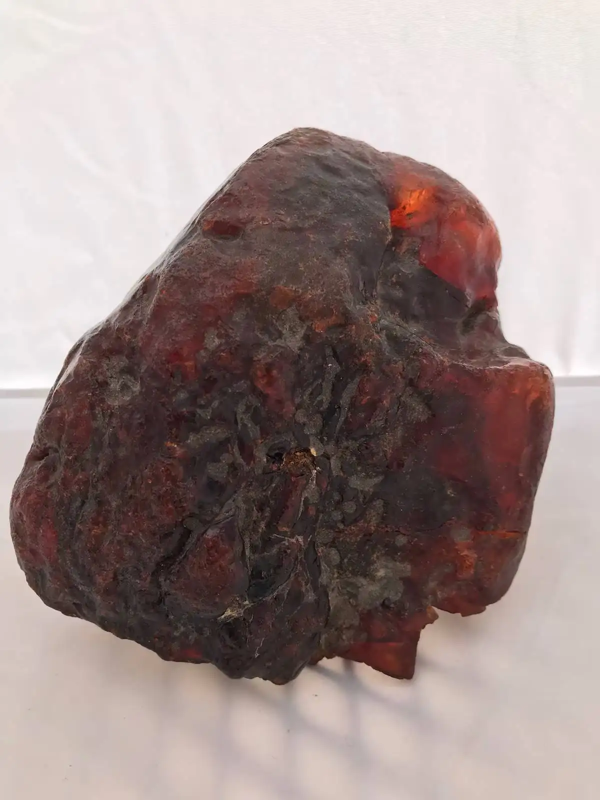 Elderly woman used 7.7-pound amber nugget as doorstop for decades, unaware it was up to 70 million