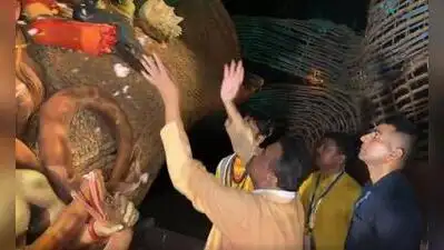 After regime change, colour revolution sweeps Kol pujas