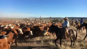 A Texas family spent nearly eight years fighting over the 65,000-acre Brite Ranch, worth at least