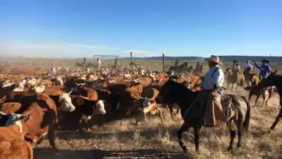 A Texas family spent nearly eight years fighting over the 65,000-acre Brite Ranch, worth at least