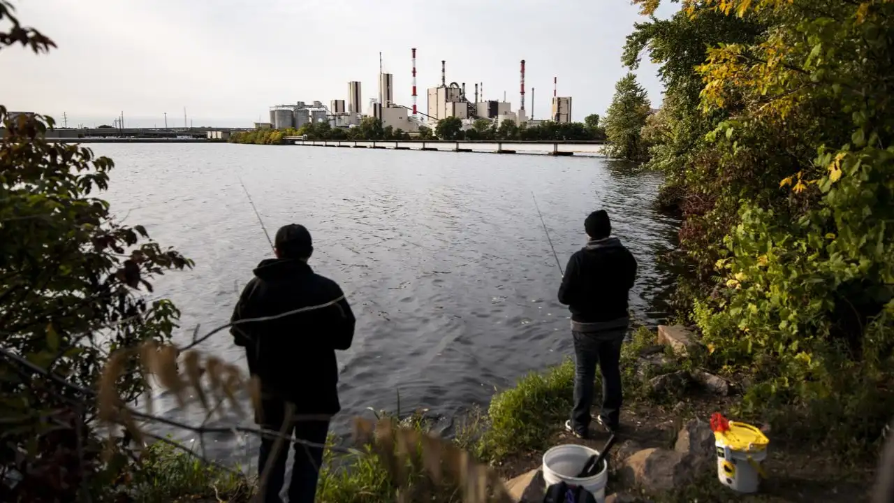 Wisconsin Rapids, a city in the US state of Wisconsin, has rejected: The wider industry impact