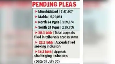 SIR tribunal judges refuse to log into new portal with Aadhaar, flag tweak in docu norm