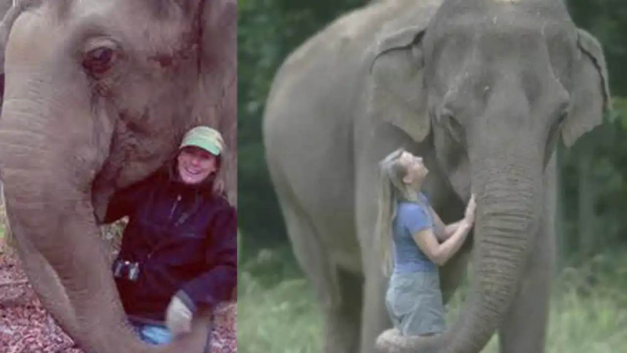 Carol Buckley founded an elephant sanctuary in Tennessee in 1995, providing a refuge