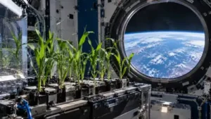 One such investigation aboard the International Space Station (ISS): The wider industry impact