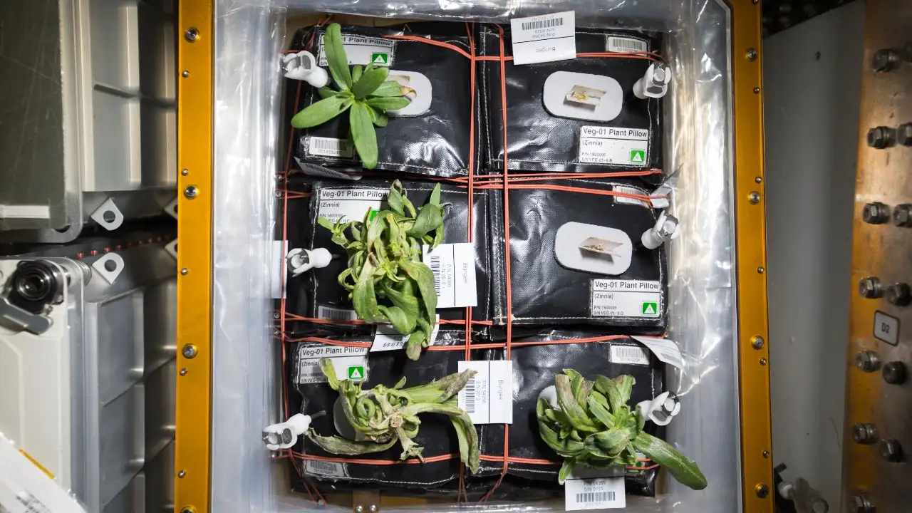 One such investigation aboard the International Space Station (ISS): The wider industry impact