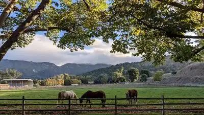 Four years after the initial sale agreement was reached, Placer Land Trust began legal