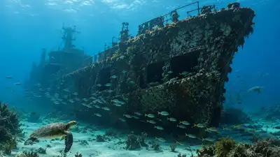 In 2026, Delaware sank a 180-foot former oilfield supply ship that: The wider industry impact