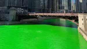 Patrick’s Day celebration, and found that levels fell close: The wider industry impact