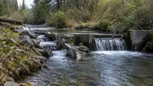 For decades, a five-foot concrete dam on Mill Creek in Sonoma: The wider industry impact