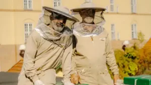 Today, it manages between 80 and 100 bee colonies across the Danish: The wider industry impact
