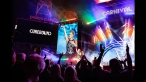 Pink headlined a San Diego concert that raised $8.25 million for cancer research; the benefit