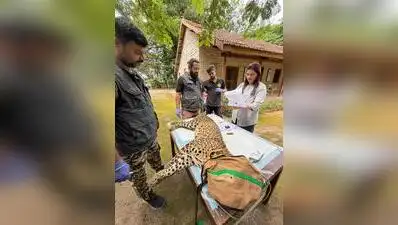 Wildlife Institute of India scientist Bilal Habib, who has led leopard research in Junnar, said