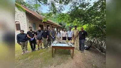 Wildlife Institute of India scientist Bilal Habib, who has led leopard research in Junnar, said