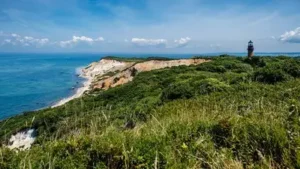 Martha’s Vineyard has rejected one of the largest housing proposals: The wider industry impact