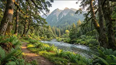 In 1972, three siblings gave Washington 590 acres on Squak Mountain instead of developing it