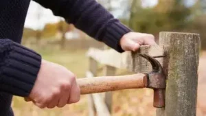 Charles County, Missouri, turned into a criminal case after police said a neighbour fired a gun