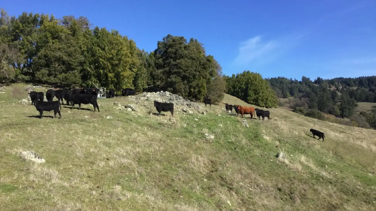 In 1914, a California family bought what became the 6,625-acre Kinsey Ranch; 112 years later