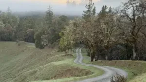 In 1914, a California family bought what became the 6,625-acre Kinsey Ranch; 112 years later