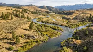 For decades, the meeting point of the Clark Fork and Blackfoot: The wider industry impact