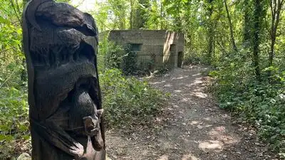 A World War II pillbox in Dorset was transformed into a bat: The wider industry impact