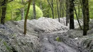 Nearly 39,500 tonnes of illegal waste cleared from Kent woodland
